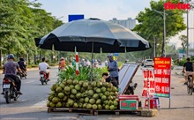 Đại lộ nghìn tỷ Hà Nội thành &#39;chợ&#39; hoa quả di động