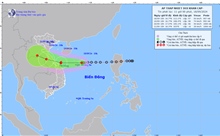 Áp thấp nhiệt đới sẽ mạnh lên thành bão, hướng về đất liền các tỉnh miền Trung 