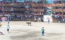 Video khán đài sân vận động đấu bò tại Colombia đổ sập khiến trên 500 người thương vong