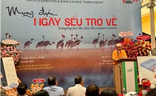 Sếu đầu đỏ và câu chuyện bảo tồn sự sống