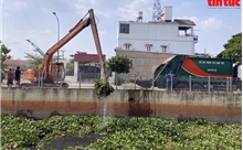 TP Hồ Chí Minh: Công nhân ngâm mình dưới kênh Nước Đen để dọn rác