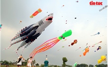 TP Hồ Chí Minh: Cánh đồng diều 'hút' người xem mỗi buổi chiều