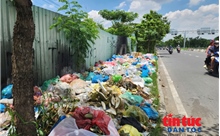 Rác tràn đường vì nạn đổ trộm tại TP Hồ Chí Minh