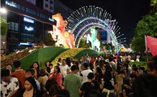 TP Hồ Chí Minh: Khách tham quan chen chân ở Đường hoa Nguyễn Huệ sau khai mạc