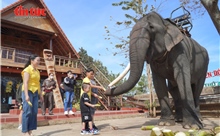 Buôn Jun - Điểm du lịch cộng đồng thu hút đông người dân và du khách dịp Tết