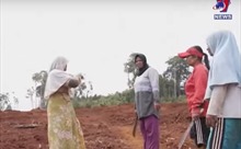 Nông dân Indonesia quyết giữ đất khi khai thác niken để sản xuất pin xe điện bùng nổ
