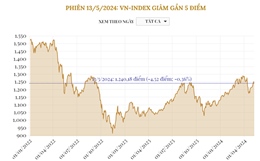 Phiên 13/5/2024: VN-Index giảm gần 5 điểm