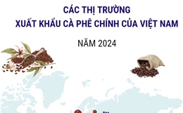 Thị trường xuất khẩu cà phê chính của Việt Nam năm 2024