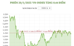 Phiên 20/1/2025: VN-Index tăng 0,44 điểm