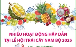 Nhiều hoạt động hấp dẫn tại Lễ hội Trái cây Nam Bộ 2025