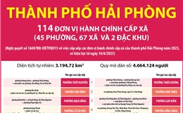 Thông tin chi tiết sắp xếp các đơn vị hành chính cấp xã của thành phố Hải Phòng