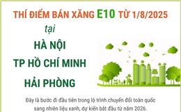 Thí điểm bán xăng E10 tại Hà Nội, TP Hồ Chí Minh và Hải Phòng từ ngày 1/8/2025
