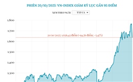 Phiên 20/10/2025: VN-Index giảm kỷ lục gần 95 điểm