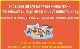 Tập trung phòng, tránh, ứng phó mưa lũ, ngập lụt tại khu vực Trung Trung Bộ
