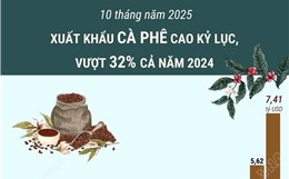 10 tháng năm 2025: Xuất khẩu cà phê cao kỷ lục, vượt 32% cả năm 2024