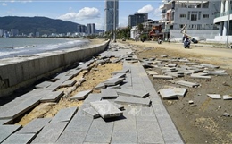 Bờ biển Quy Nhơn tan hoang sau cơn bão số 13