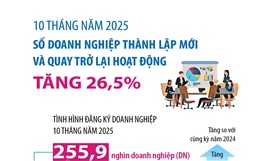 10 tháng năm 2025, số doanh nghiệp thành lập mới và quay trở lại hoạt động tăng 26,5%