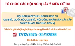Tổ chức các hội nghị lấy ý kiến cử tri