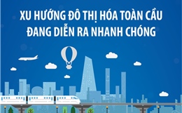 Xu hướng đô thị hóa toàn cầu đang diễn ra nhanh chóng