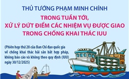 Trong tuần tới, xử lý dứt điểm các nhiệm vụ được giao trong chống khai thác IUU