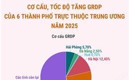 Cơ cấu, tốc độ tăng GRDP của 6 thành phố trực thuộc trung ương