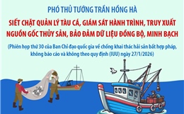 Phiên họp thứ 30 của Ban Chỉ đạo Quốc gia về chống khai thác hải sản bất hợp pháp