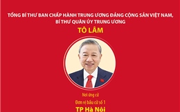 Các đồng chí lãnh đạo cấp cao ứng cử đại biểu Quốc hội khóa XVI 