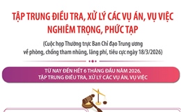 Tập trung điều tra, xử lý các vụ án, vụ việc nghiêm trọng, phức tạp