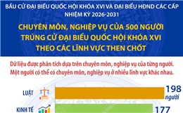 Chuyên môn của 500 người trúng cử đại biểu Quốc hội theo các lĩnh vực then chốt