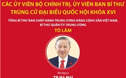 Các Ủy viên Bộ Chính trị, Ủy viên Ban Bí thư trúng cử đại biểu Quốc hội khóa XVI