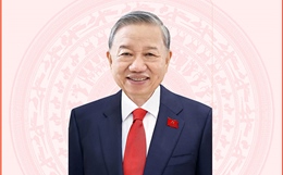 Tổng Bí thư, Chủ tịch nước Tô Lâm