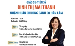 Giáo sư-Tiến sỹ Đinh Thị Mai Thanh nhận Huân chương Cành cọ Hàn lâm