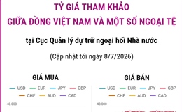 Tỷ giá tham khảo giữa đồng Việt Nam và một số ngoại tệ ngày 8/7/2026
