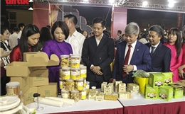 Không gian mua sắm, trải nghiệm Tết cổ truyền tại Hội chợ Hoa Xuân Bính Ngọ 2026 ở Kiều Phú