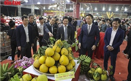 Không gian Xuân hội tụ đặc sản vùng miền tại Minh Châu