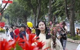 Phố Hà Nội thanh bình những ngày giáp Tết