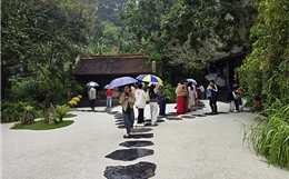 Khách thập phương đội mưa xuân vãn cảnh chùa Địa Tạng Phi Lai