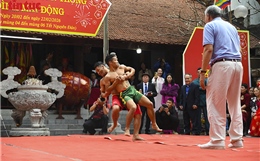 Rộn ràng hội vật đình Mai Động đầu Xuân Bính Ngọ