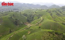 Khám phá đồi chè Long Cốc, 'Vịnh Hạ Long trên cạn' vùng đất Tổ