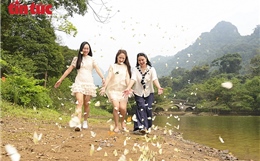 Mùa bướm rực rỡ ở Cúc Phương hút khách trải nghiệm thiên nhiên nguyên sơ