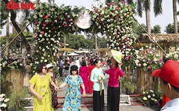 Lễ hội Sen Hà Nội 2026 thu hút đông đảo người dân dịp cuối tuần