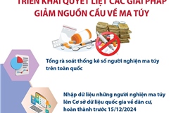 Triển khai quyết liệt các giải pháp giảm nguồn cầu về ma túy