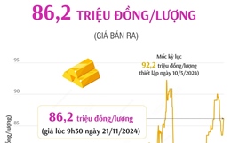 Vàng SJC sáng 21/11 có giá 86,2 triệu đồng/lượng