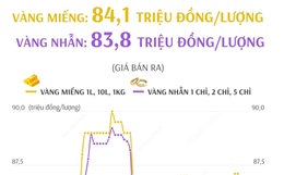 Giá vàng SJC sáng 19/12/2024