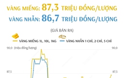 Giá vàng SJC sáng 17/1/2025: Đồng loạt tăng giá