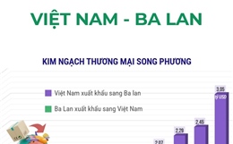 Thương mại song phương Việt Nam - Ba Lan