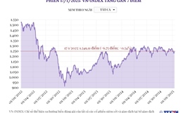 Phiên 17/1/2025: VN-Index gần 7 điểm