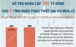 Hỗ trợ khẩn cấp 700 tỷ đồng khắc phục thiệt hại do mưa lũ
