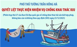 Phó Thủ tướng Trần Hồng Hà: Quyết liệt thực hiện nhiệm vụ chống khai thác IUU