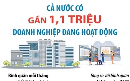 Tổng số doanh nghiệp đang hoạt động trên cả nước đạt gần 1,1 triệu 
